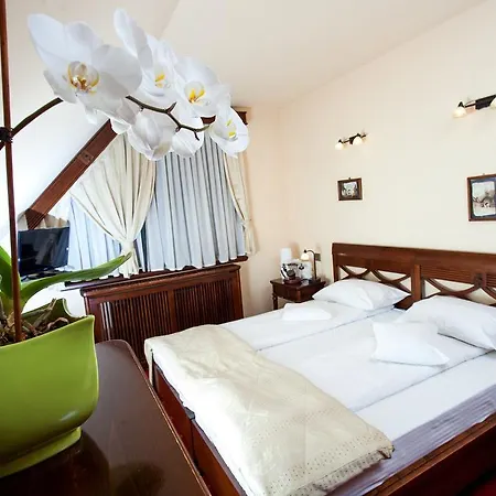 Hotel Brasovu Vechi 4*