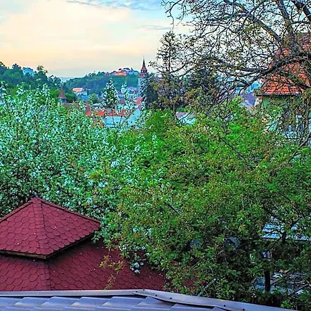Brasovu Vechi 4* Brașov